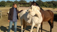 Equitation Ethologique